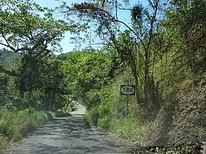 PR-504 heading south near its junction with PR-588 in Barrio Portugués Rural