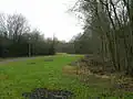 A path through a park with trees and grass