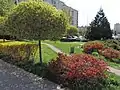 Park in the borough