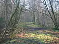 The old carriageway looking towards Caven Mill.
