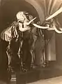 Hall with two elephant skeletons