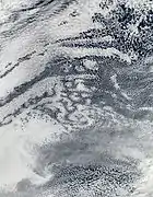 Open and closed-cell clouds over the Pacific Ocean.