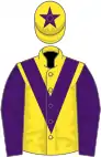 Yellow, purple chevron, sleeves and star on cap