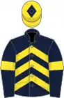 Dark blue, yellow chevrons and armlets, yellow cap, dark blue diamond