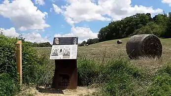 Interpretive panel on the trail.