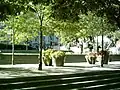 Place de la Dauversière, Montreal