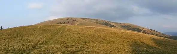Ploská