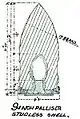 Studless Palliser shell with rotating gas-check