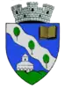 Coat of arms of Vălenii de Munte