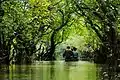 Image 7Ratargul Swamp Forest is a freshwater swamp forest located in Gowain River, Fatehpur Union, Gowainghat, Sylhet, Bangladesh. It is the only swamp forest located in Bangladesh and one of the few freshwater swamp forest in the world. The forest is naturally conserved under the Department of Forestry, Govt. of Bangladesh.Photo Credit: Sumon Mallick