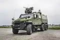 Eagle V 6x6, Swiss Army, Aufklärungssystem TASYS