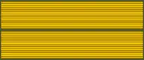 Combat Injury Badge for severe wounds, received in the line of duty (1980, 1986)