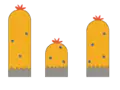 Vegetation Layer - Middle