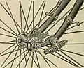 Spring fork detail from a safety bicycle