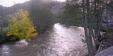 The Alagnon in Molompize.