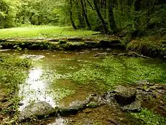 Source of the Aube near Praslay