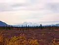 Denali seen from a distance of 100 miles (160 km)