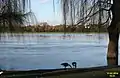 River Thames