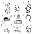 Example of Aztec writing, which parents taught their children