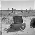 Graveyard at Granada Relocation Center in Colorado (1945)