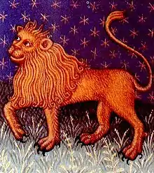 The majestic lion