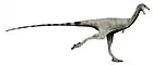 Limusaurus