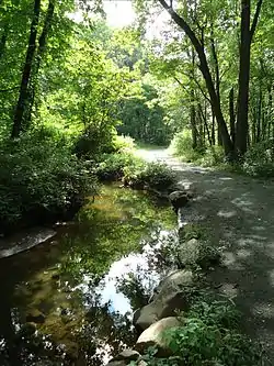 A horse path along a stream in Morris County
