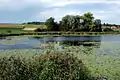 Lobsigensee