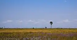 Paranthan