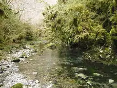 Near the source of the Arros.