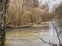 The Savoureuse at Nommay.
