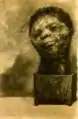 Cactus Man, 1881.