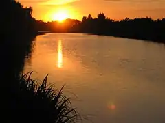 The Sèvre Niortaise in Marans