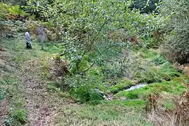 The source of Vienne near Saint-Setiers.