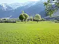 View of Suru Valley