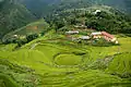 Terraced rice fields in Sa Pa