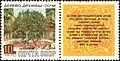 Stamp of the Soviet Union with a label dedicated to the Tree of Friendship in Sochi (1970)