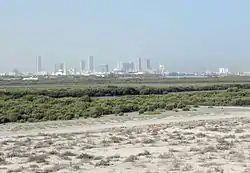 Mangroves near Umm al-Quwain