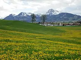 A view on Echarlens and mount Moléson