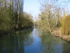 The Yèvre in Bourges.