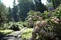 Dendrological Garden in Przelewice