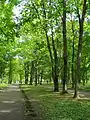 Kochubeivsky Park Alley