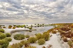 Kinburn Spit