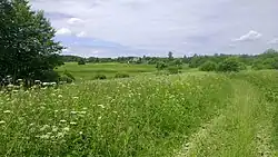 Landscape in Kunyinsky District