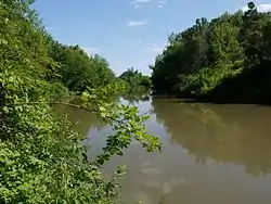 The Myosha River in Pestrechinsky District