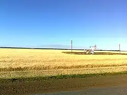 Field near the village Semiletka, Dyurtyulinsky District