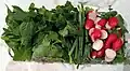 Sabzi Khordan, an Iranian salad-like dish, here of mixed greens and radishes