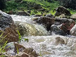 Wadi Qana winter stream