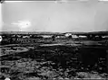 Bedouin encampment at Ness Ziona, 1934