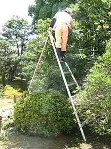 A gardener wearing jika-tabi